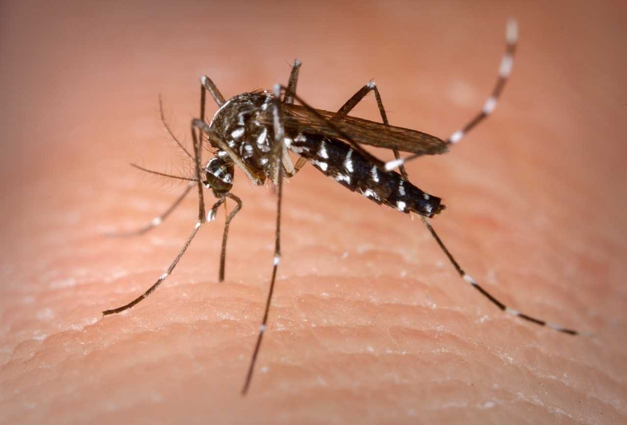Camacã: Unidade de Saúde Manoel Rodrigues intensifica campanha contra a Dengue